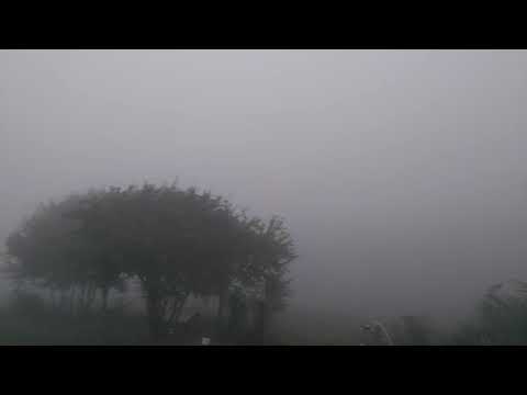 კოჯრის ნისლი