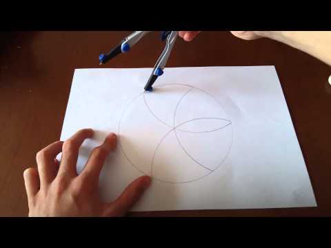 Vídeo: Com Dibuixar Una Flor En Un Test