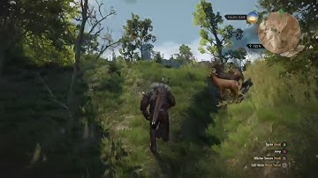 The Witcher 3: Wild Hunt: Deer Glitch