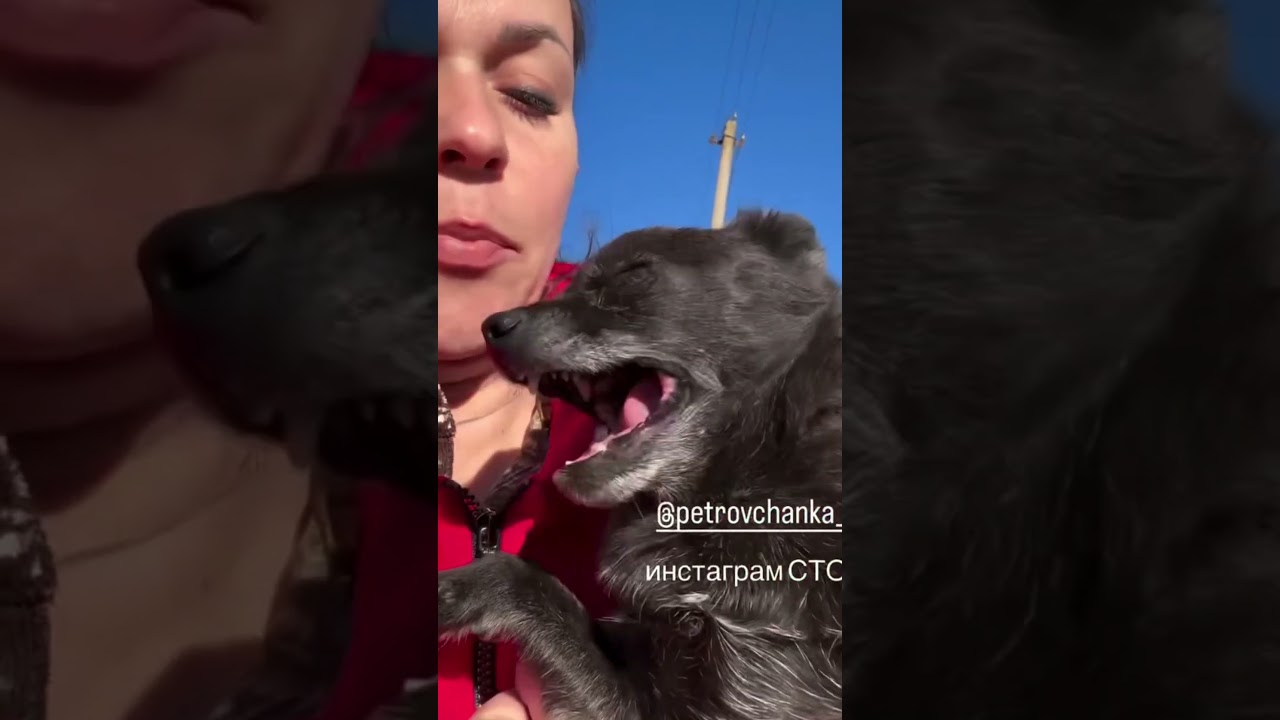 #garden #жизньзагородом #рецепты #огород #shorts