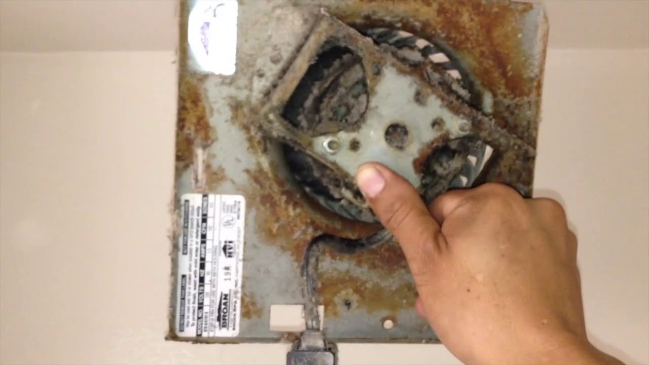 How To Replace A Bathroom Exhaust Fan Motor YouTube