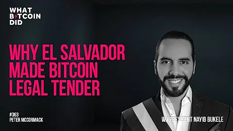 Why El Salvador Made Bitcoin Legal Tender with President Nayib Bukele - DayDayNews