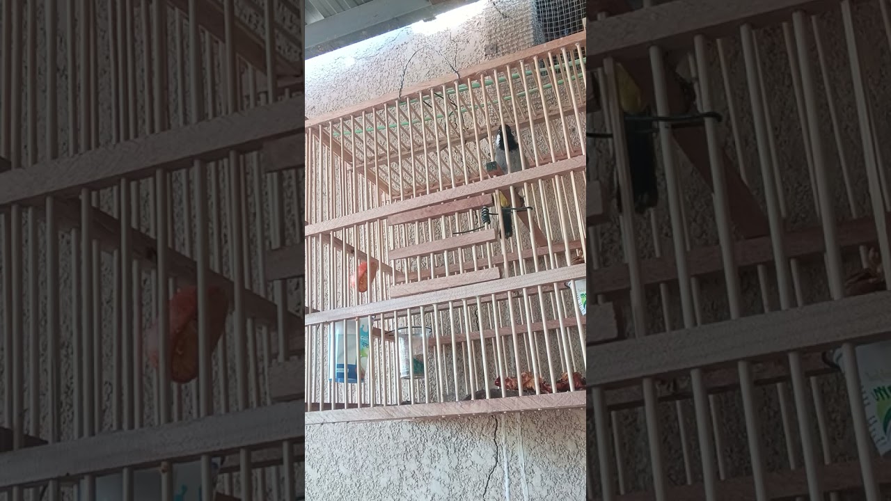 ١٨ نوفمبر ٢٠٢٥