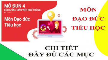Đáp án mô đun 4 môn Đạo đức tiểu học đầy đủ nhất | Kèm File Kế hoạch bài dạy Kế hoạch dạy học
