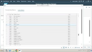 18  Value Table and Check Table in Domain SAP ABAP