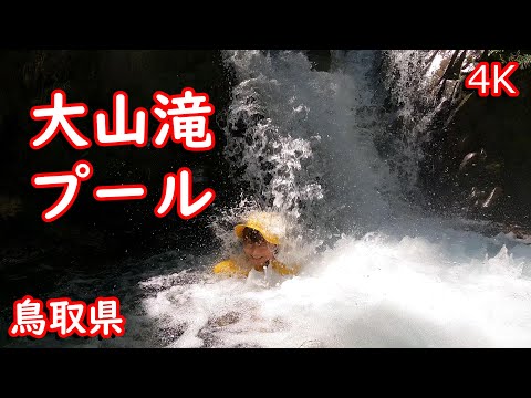 【週末探検隊】大山滝プール（鳥取県）4K