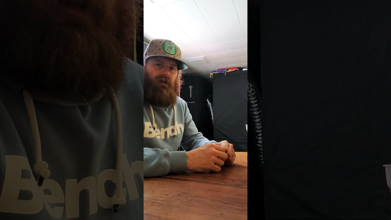 2021 Gbay genetics outdoor garden.