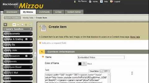 Embedding Video into a Blackboard Course