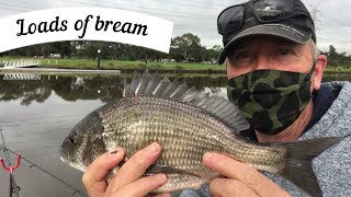 I caught loads of bream Maribyrnong River fishing