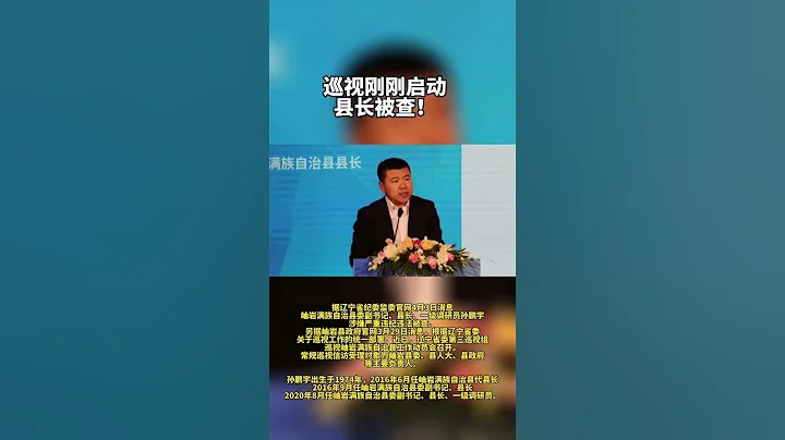 辽宁省岫岩满族自治县委副书记、县长孙鹏宇接受审查调查 - 天天要闻