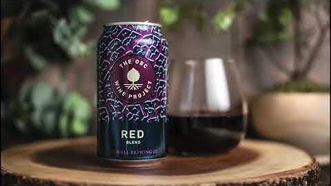 Canning Wine at The OBC Wine Project