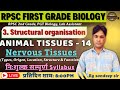 RPSC 1st Grade Biology 2025 | Structural Organization In Animal &amp; Plants | Animal Tissues Part -14