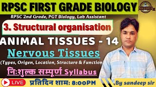 RPSC 1st Grade Biology 2025 | Structural Organization In Animal &amp; Plants | Animal Tissues Part -14