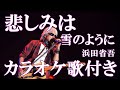 悲しみは雪のように 浜田省吾 カラオケ 練習用  原曲キー 歌付き ボーカル入り 歌詞付き