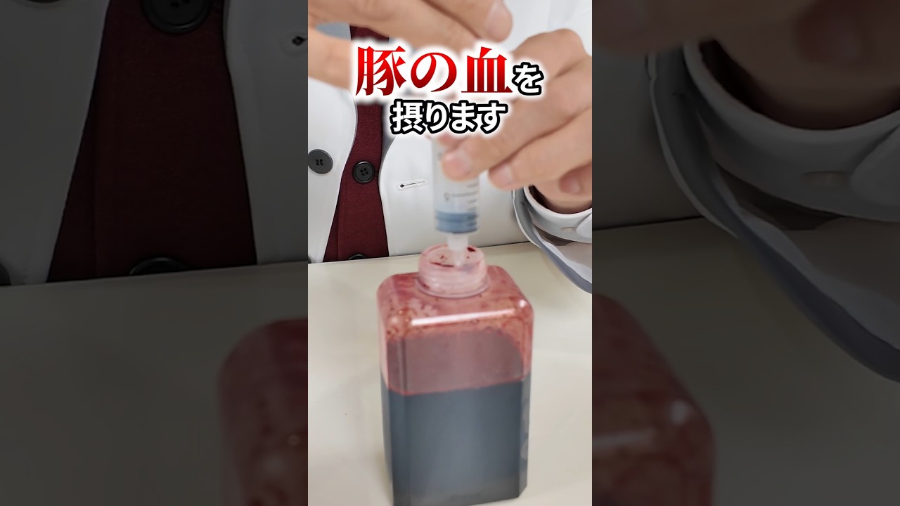 豚の血液を顕微鏡で見てみたら中からすごいもの発見した！