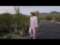He Walked In - Kid Congo & The Pink Monkey Birds (Official Video)