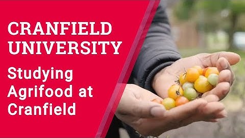 Studying Agrifood at Cranfield University