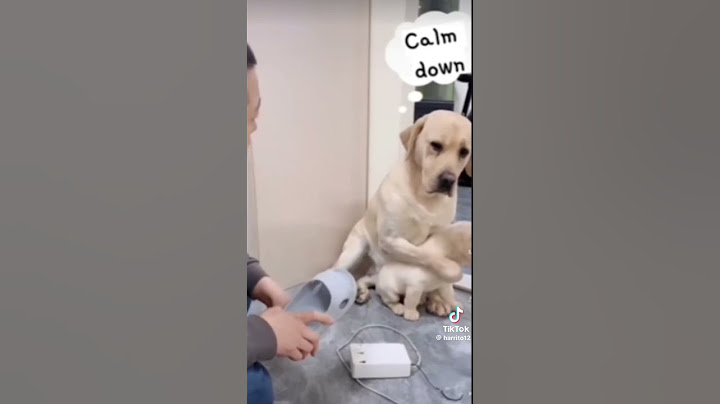 ΑΥΤΟΣ ΕΔΏ ΘΕΛΕΙ ΝΑ ΠΟΥΛΙΣΙ ΤΟ ΣΚΛΙ #funny #greece #comedy #memes #dog #cartoon #1k #ΣΚΛΙ