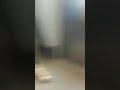 القطار شباب يمدحون سيدنا رسول الله صلى الله عليه وسلم القطار شباب يمدحون سيدنا رسول الله صلى الله عليه وسلم
