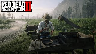 RDR2 - Le chercheur d'or - Rencontre aléatoire