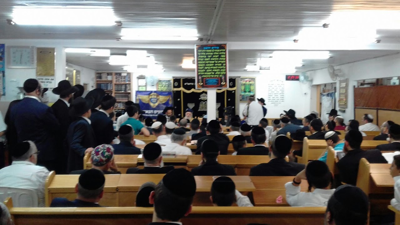 Uploads from תורת דוד - Torat David