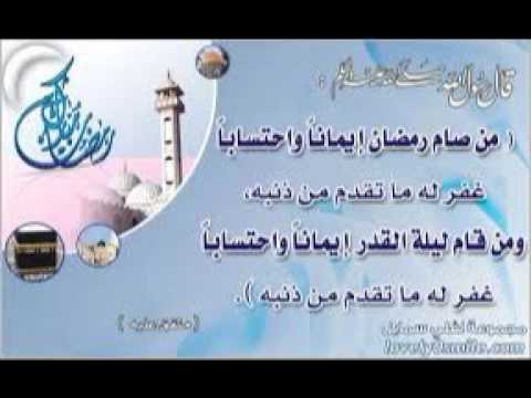 القارئ سعيد دباح - صلاة التراويح 1 رمضان 2016 