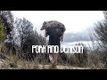 Pork and Venison | Pig Hunting in NZ