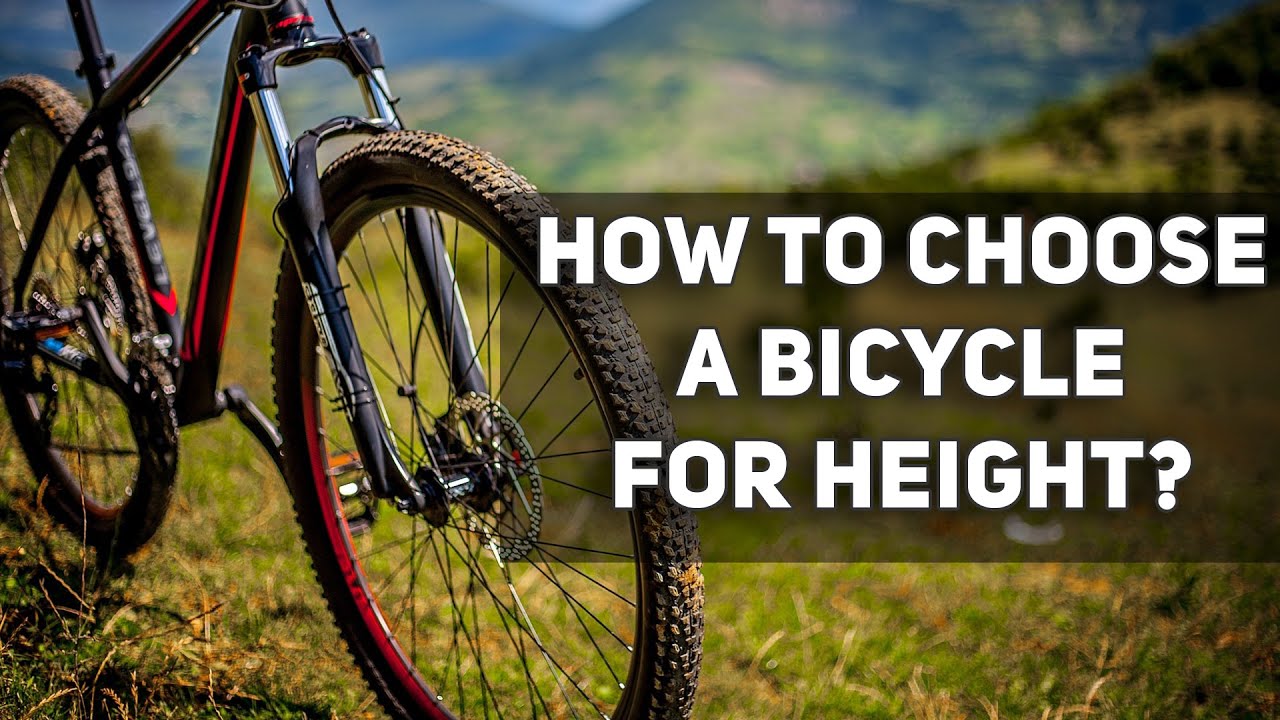 How to choose a bicycle for height? buyers guide YouTube