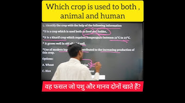 this crop is used to both animal and human social science #agriculture 10thclass #shorts#shortsvideo