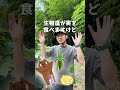 なぜ畑では肥料を与えなければならないのか?