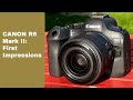 Canon R6 Mark II - First Impressions: Better sensor, higher speed