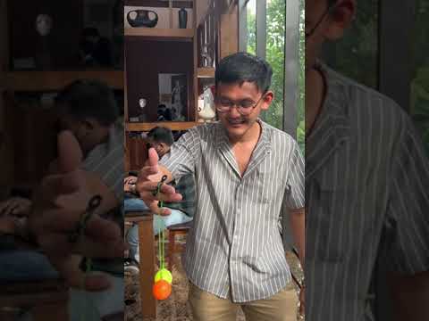 Lato lato -
