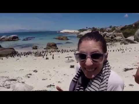 Penguin Attack!
