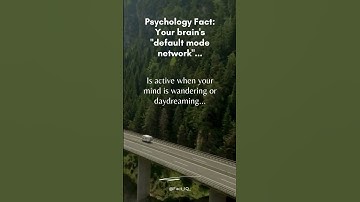 The Creative Power Within: Unveiling the Default Mode Network of Your Brain