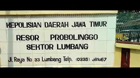 Aksi Pencurian Sapi