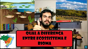 Qual a diferença entre um ecossistema é um bioma?
