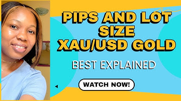 How To Calculate Pips and Lot size On XAU/USD Gold (Step-by-step guide)