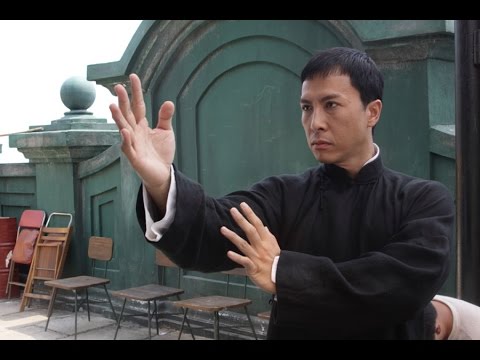 Ip Man (Donnie Yen) Tribute