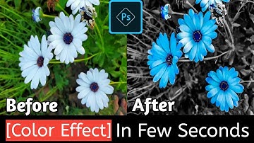 Photoshop Editing | Color Effect | Learn How to Edit photo | Professional Photo Editor