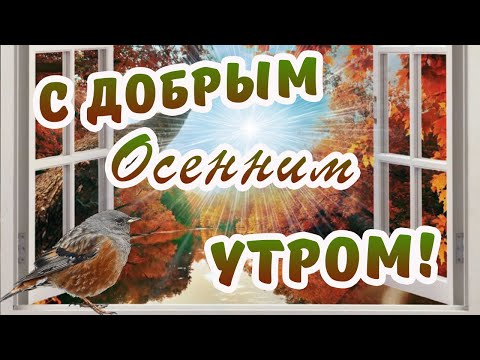 С ДОБРЫМ ОСЕННИМ УТРОМ!/ДОБРОЕ УТРО!/САМОЕ КРАСИВОЕ ПОЖЕЛАНИЕ ДОБРОГО УТРА!