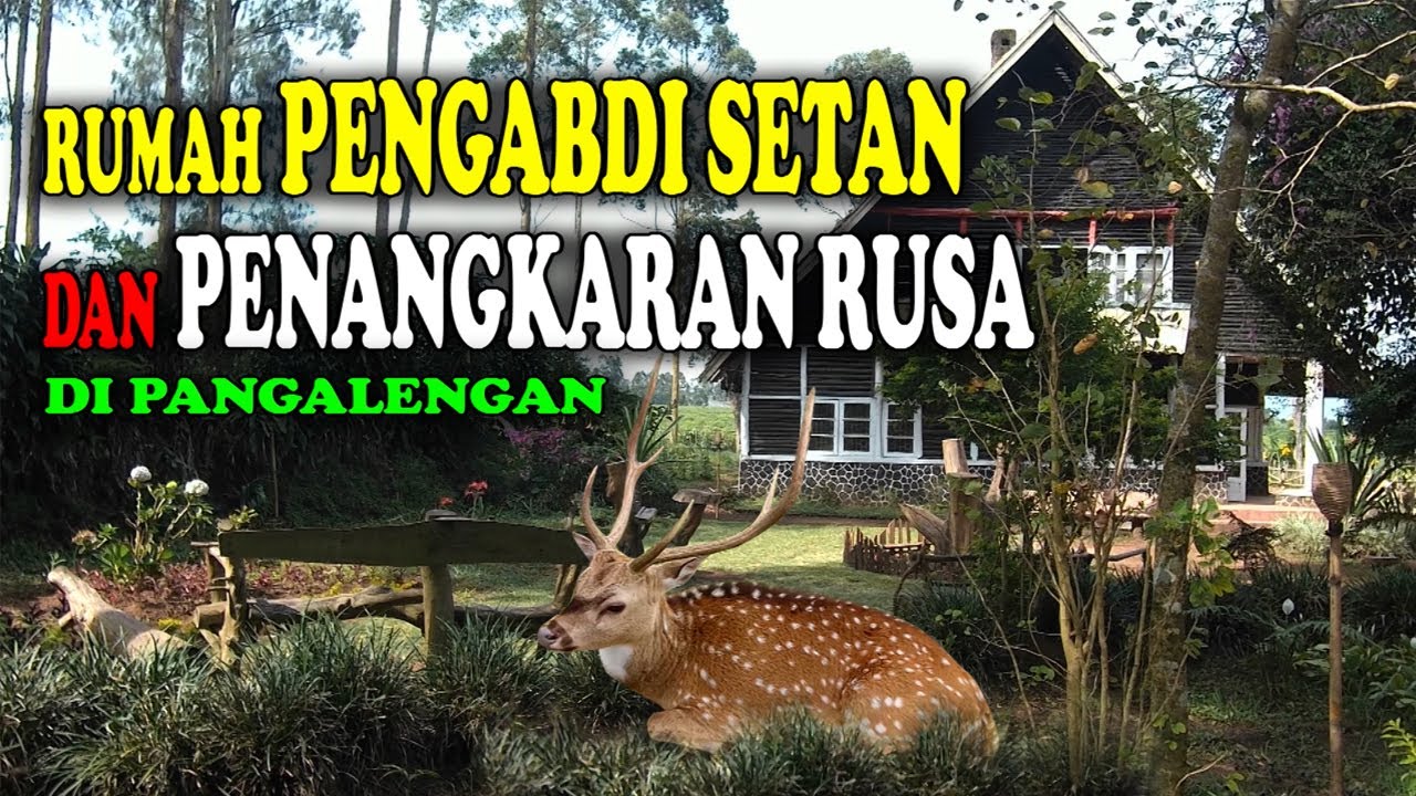 rumah pengabdi setan dan penangkaran rusa - YouTube