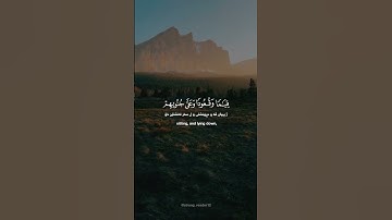 ابوبكر الشاطري - سورة ال‌عمران #الحمدلله #قرآن