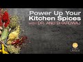 Power Up Your Kitchen Spices with Dr. Anu Bhardwaj | Dr. John Douillard's LifeSpa