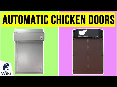 10 Best Automatic