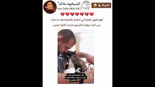 القط في الخلاط طلع عايش ما مات 💔.