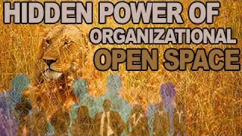 The hidden power of Organizational Open Space w/ Jutta Eckstein