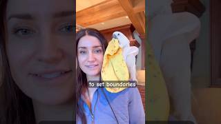 What 2 weeks off social media taught me #mentalhealth #parrotlife #selfcare