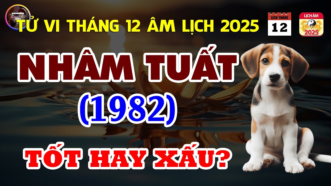 Tử Vi Tuổi Nhâm Tuất 1982: Trong Tháng 12 Âm Lịch Năm 2025 Sẽ Như Thế Nào?