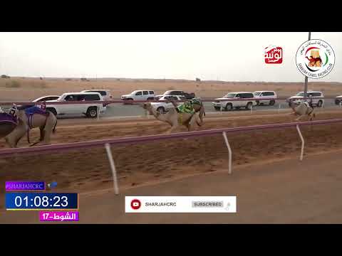 الشوط 17 الدوحة ل عبدالله حمد محمد عمران الكتبي 2 14 00 شارة الصندوق 2025 06 28 فطامين الذيد