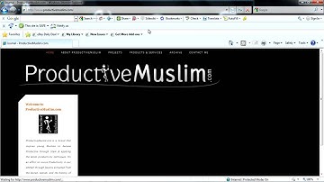 Problems viewing www.ProductiveMuslim.com on IE8?